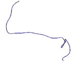 Cleavage And Polyadenylation Specific Factor 6 (CPSF6)