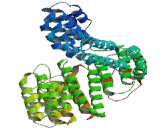 Cleavage Stimulation Factor 3 (CSTF3)