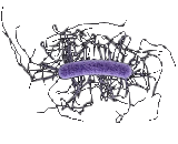 Clostridium Difficile (C-diff)