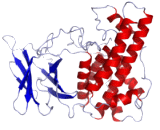 Clostridium Perfringens Alpha Toxin (CPa)