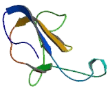 Cluster Of Differentiation 160 (CD160)