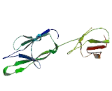 Cluster Of Differentiation 200 (CD200)