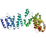 Clusterin Like Protein 1 (CLUL1)