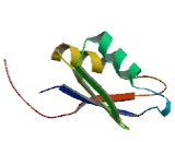 Synaptotagmin Interacting Protein (SIP)