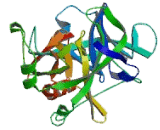 Coagulation Factor VII (F7)