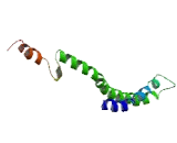 Codanin 1 (CDAN1)