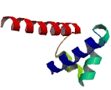 Coenzyme Q9 Homolog (COQ9)