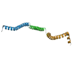 Coiled Coil Alpha Helical Rod Protein 1 (CCHCR1)