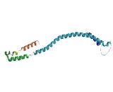 Coiled Coil And C2 Domain Containing Protein 2A (CC2D2A)