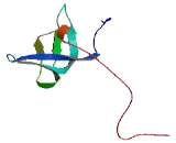 Coiled Coil Domain Containing Protein 101 (CCDC101)