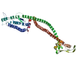 Coiled Coil Domain Containing Protein 102A (CCDC102A)