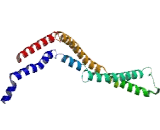 Coiled Coil Domain Containing Protein 102B (CCD<b>C102</b>B)