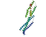 Coiled Coil Domain Containing Protein 103 (CCDC103)