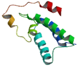 Cilia And Flagella Associated Protein 36 (CFAP36)