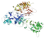 Coiled Coil Domain Containing Protein 108 (CCDC108)