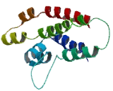 Coiled Coil Domain Containing Protein 109B (CCDC109B)