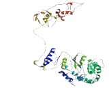 Coiled Coil Domain Containing Protein 111 (CCDC111)