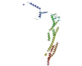 Coiled Coil Domain Containing Protein 112 (CCDC112)