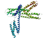 Coiled Coil Domain Containing Protein 114 (CCDC114)