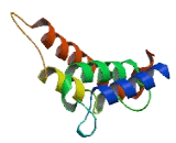 Coiled Coil Domain Containing Protein 115 (CCD<b>C115</b>)