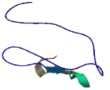 Coiled Coil Domain Containing Protein 116 (CCDC116)