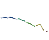 Coiled Coil Domain Containing Protein 12 (CCDC12)