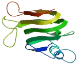 Coiled Coil Domain Containing Protein 120 (CCD<b>C120</b>)