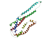 Coiled Coil Domain Containing Protein 121 (CCD<b>C121</b>)