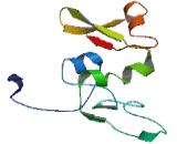 Coiled Coil Domain Containing Protein 134 (CCDC134)