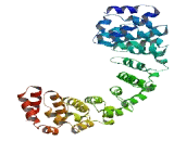 Coiled Coil Domain Containing Protein 138 (CCDC138)