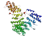 Coiled Coil Domain Containing Protein 14 (CCDC14)