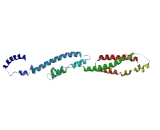 Coiled Coil Domain Containing Protein 144B (CCDC144B)