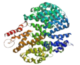 Coiled Coil Domain Containing Protein 15 (CCDC15)