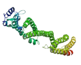 Coiled Coil Domain Containing Protein 150 (CCDC150)