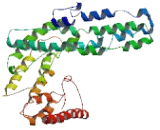 Coiled Coil Domain Containing Protein 151 (CCDC151)