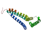 Coiled Coil Domain Containing Protein 153 (CCDC153)