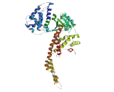 Coiled Coil Domain Containing Protein 157 (CCD<b>C157</b>)