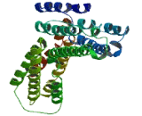 Coiled Coil Domain Containing Protein 160 (CCDC160)