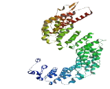 Dynein Regulatory Complex Protein 1 (DRC1)