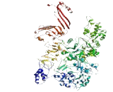 Coiled Coil Domain Containing Protein 168 (CCDC168)