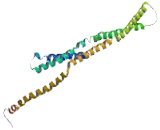 Coiled Coil Domain Containing Protein 169 (CCDC169)