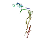 Coiled Coil Domain Containing Protein 18 (CCDC18)