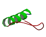 Coiled Coil Domain Containing Protein 24 (CCDC24)