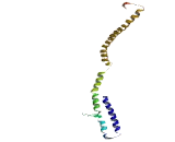 Coiled Coil Domain Containing Protein 25 (CCDC25)