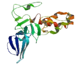 Coiled Coil Domain Containing Protein 28A (CCDC28A)