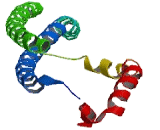 Coiled Coil Domain Containing Protein 30 (CCDC30)