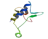 Coiled Coil Domain Containing Protein 32 (CCDC32)