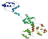 Coiled Coil Domain Containing Protein 38 (CCDC38)