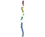 Coiled Coil Domain Containing Protein 40 (CCDC40)