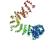 Coiled Coil Domain Containing Protein 41 (CCDC41)